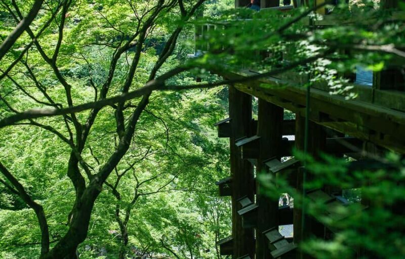 Kyoto, Gion & Nara: Culture & Heritage Full-Day Tour - Authentic Experiences You Can Expect