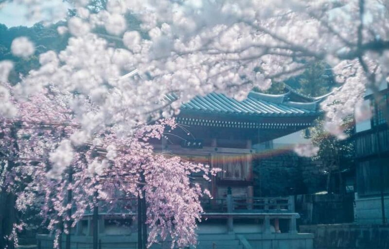 Kyoto, Gion & Nara: Culture & Heritage Full-Day Tour - FAQ