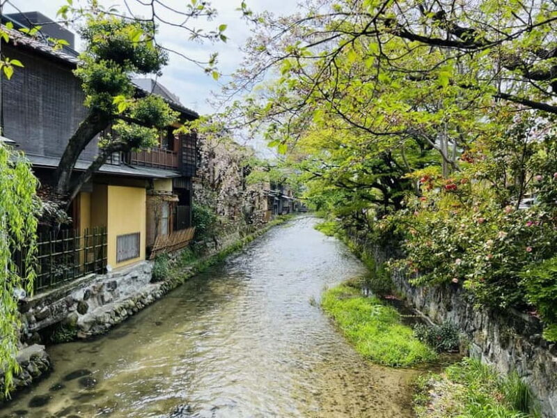 Kyoto: Gion Night Tour Stories of Geisha and Maiko - The Sum Up