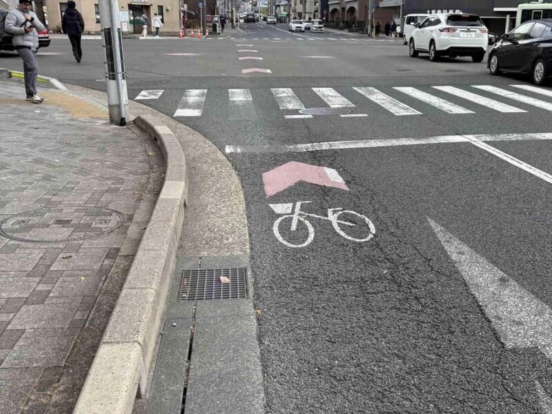 Kyoto: Guided Bicycle Tour with Entry to Sanjusangen-do etc - Exploring Kyoto by Bicycle: An In-Depth Look