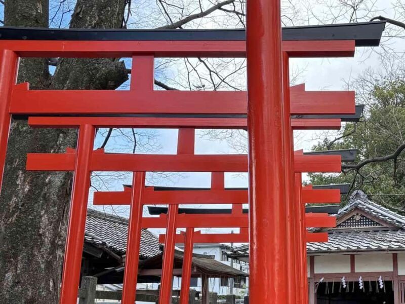 Kyoto: Guided Bicycle Tour with Entry to Sanjusangen-do etc - FAQs