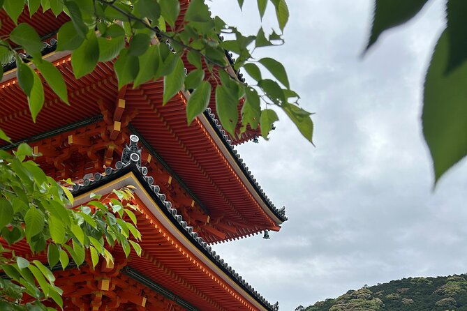 kyoto-guided-day-tour-with-free-admission