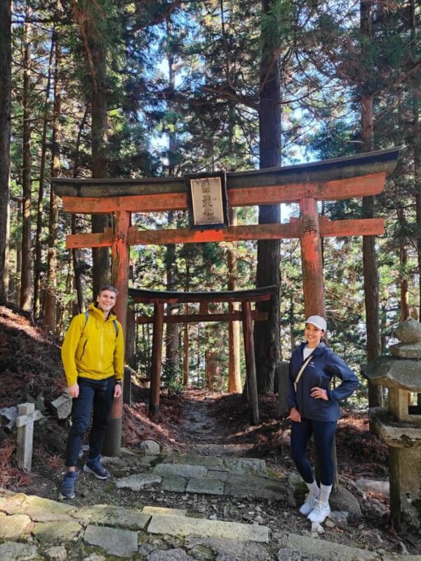 Kyoto: Guided Hike to Mt. Atago, Kyotos Highest Peak - Key Points