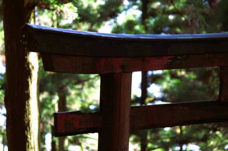 Kyoto: Guided Hike to Mt. Atago, Kyotos Highest Peak - An Authentic Day of Nature and Culture