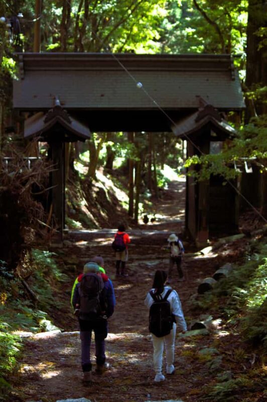 Kyoto: Guided Hike to Mt. Atago, Kyotos Highest Peak - What to Bring & What to Know