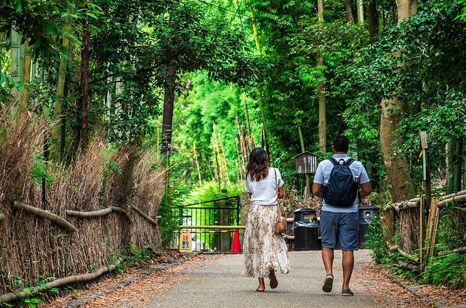Kyoto Guided Tour of Bamboo Forest, Temple and more - Frequently Asked Questions (FAQs)