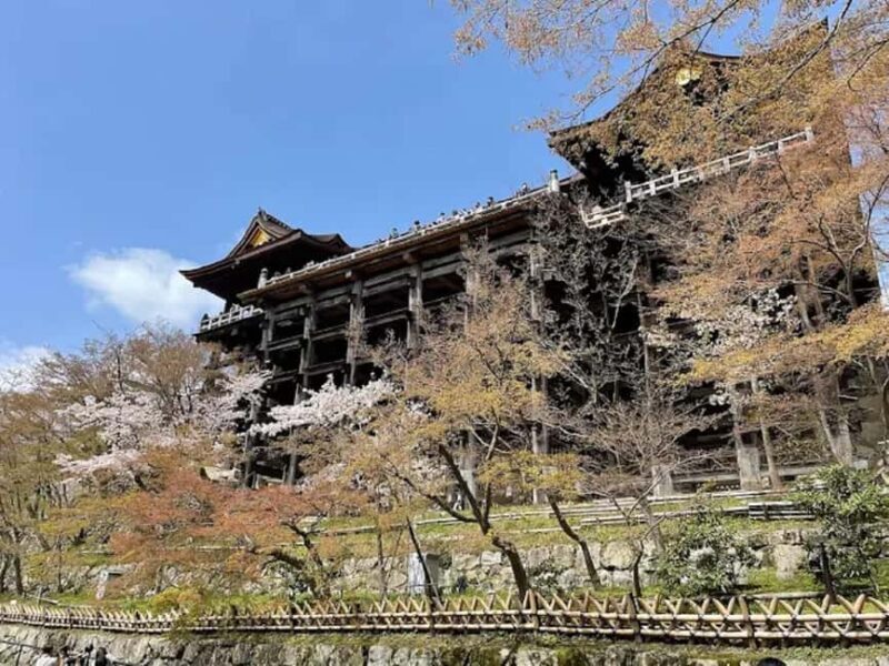 Kyoto: Guided Tour of Great Festivals and Cultural Events - Introduction