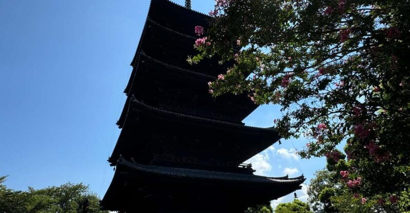 kyoto-guided-tour-of-toji-temple-with-5-story-pagoda