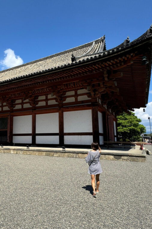 kyoto-guided-tour-of-toji-temple-with-5-story-pagoda