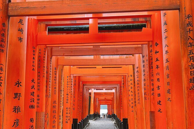 Kyoto Half Day Highlights Tour - What to Expect from the Kyoto Half Day Highlights Tour