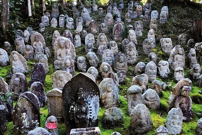 kyoto-half-day-tour