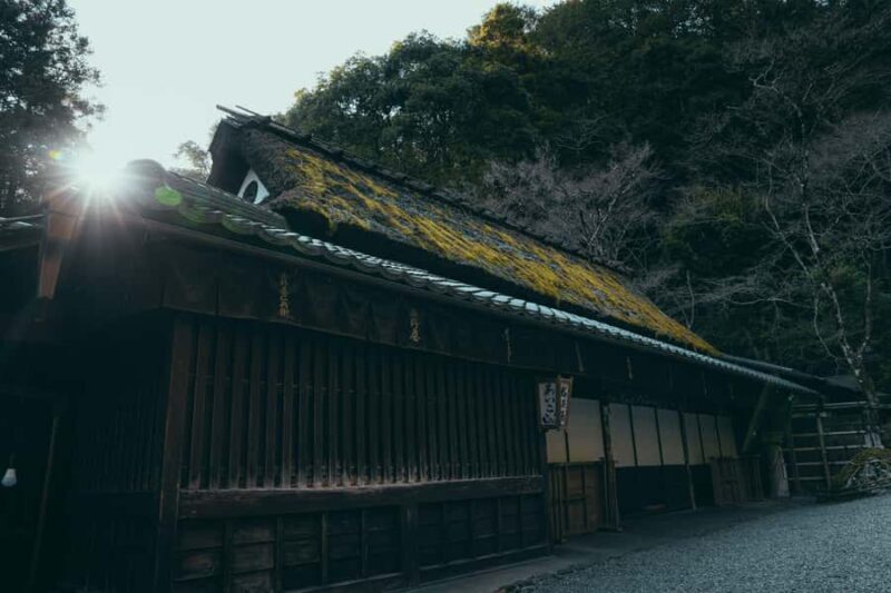 Kyoto: Hidden Gems and Local Neighborhoods - The Practicalities: What You Need to Know