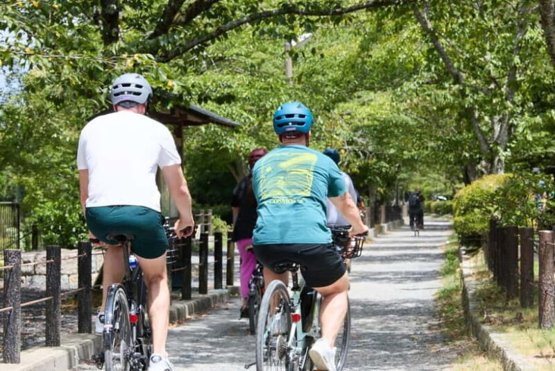 Kyoto: Hidden Gems E-Bike Tour Through Backstreets & Temples - Who Should Consider This Tour?