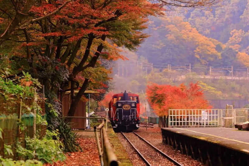 Kyoto: Hidden Gems Tour with Scenic Train Ride and Temples - Kyoto: Hidden Gems Tour with Scenic Train Ride and Temples