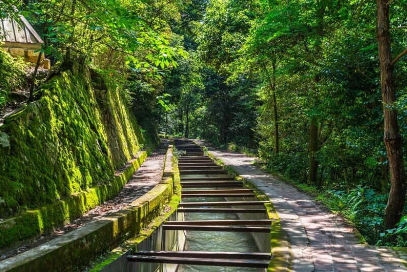 Kyoto: Hidden Gems Tour with Scenic Train Ride and Temples - Key Points