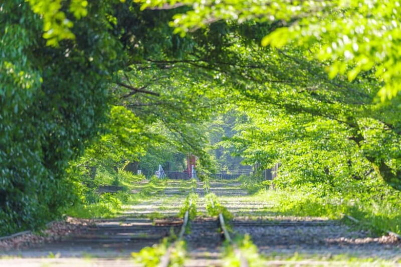 Kyoto: Hidden Gems Tour with Scenic Train Ride and Temples - FAQ