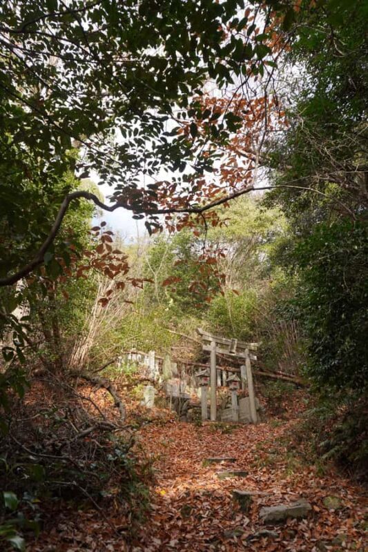 Kyoto: Hidden Spirit Realm Guided Tour - Key Points