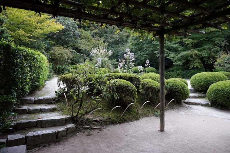 Kyoto: Hidden Temples and Tea Ceremony Tour - Key Points