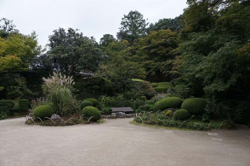 Kyoto: Hidden Temples and Tea Ceremony Tour - Pricing and Value: Is It Worth $439?