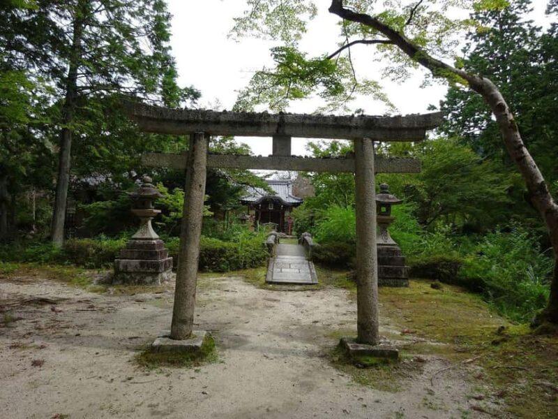 Kyoto: Hidden Temples and Tea Ceremony Tour - The Experience from Visitors’ Perspectives