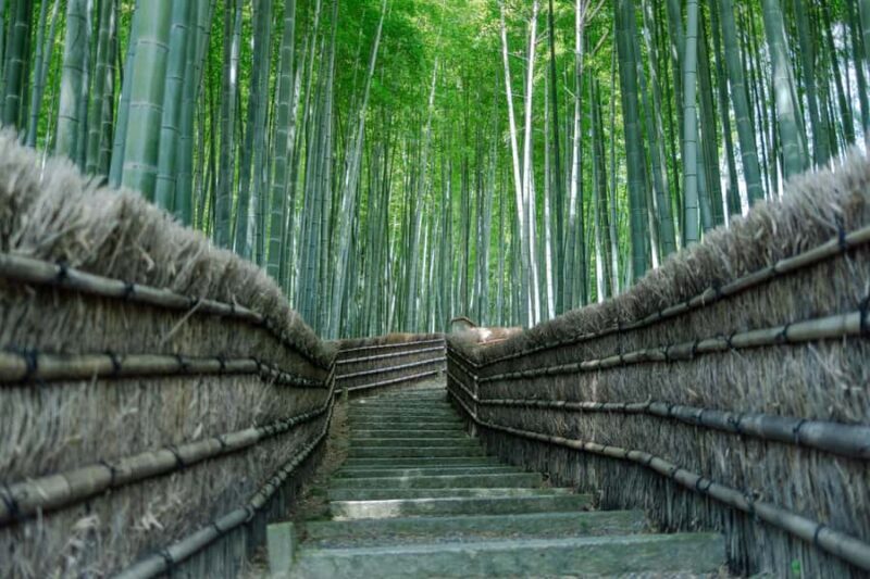 Kyoto: Hidden Temples Guided Tour with Arashiyama Visit - Walking to Adashino Nenbutsu-ji: A Memorial of Stone Statues