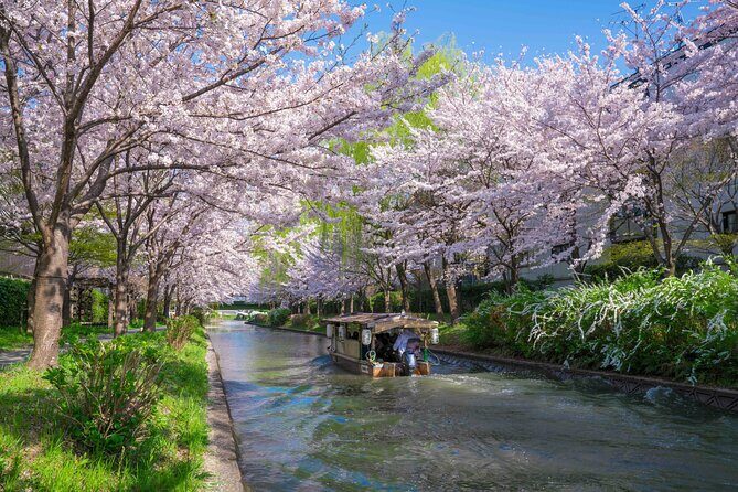 Kyoto Higashiyama E-Bike Tour *Private, Pick up from/to Hotel - Who Should Book This Tour?