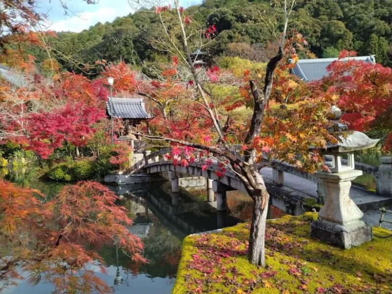 Kyoto: Higashiyama Hues: Discover Kyoto's Autumn Magic - Key Points