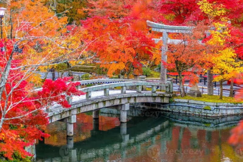 Kyoto: Higashiyama Hues: Discover Kyoto's Autumn Magic - Discover Kyoto’s Autumn Magic: A Close-Up Look
