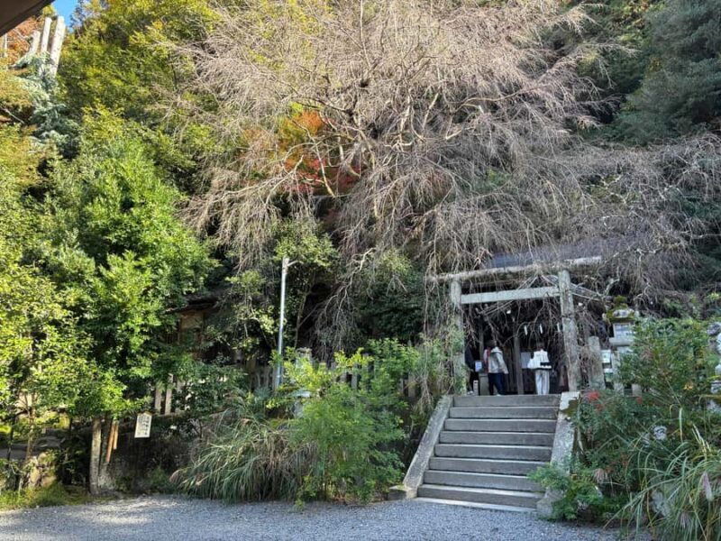 Kyoto: Higashiyama Premium E-Bike Tour with guide - The Sum Up