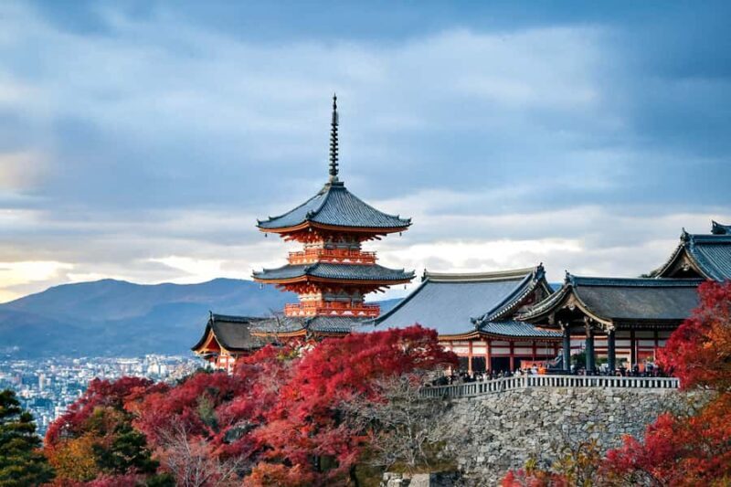 Kyoto: Highlight Private day Tour with guide and Vehicle - Key Points