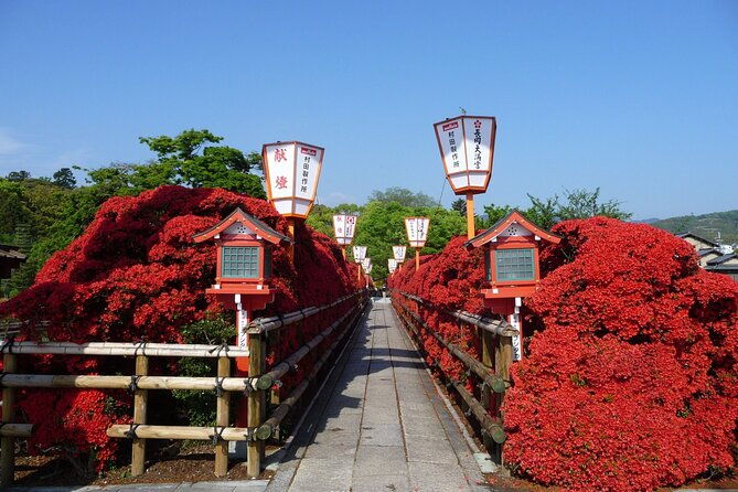 kyoto-highlights-eastern-western-northern-and-southern-routes