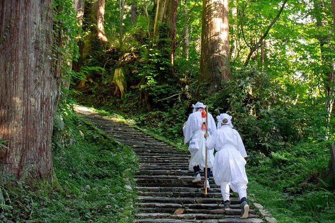 kyoto-highlights-eastern-western-northern-and-southern-routes