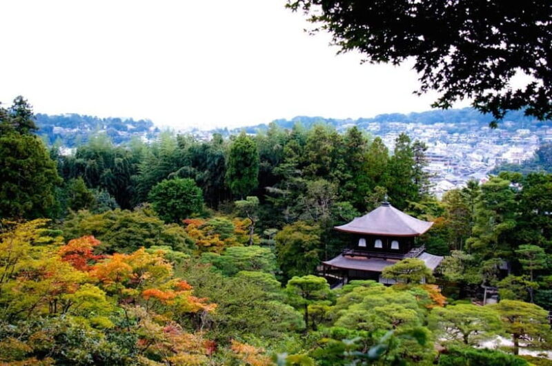 Kyoto: Highlights Guided Walking Tour - Key Points