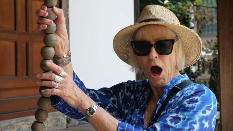 Kyoto: Highlights Guided Walking Tour - Why Choose the Kyoto Highlights Guided Walking Tour?