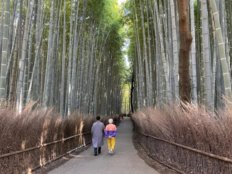 kyoto-highlights-of-arashiyama-in-2-hours-guided-tour