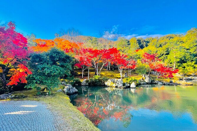 Kyoto Highlights Private Car Day Tour with English Speaking Guide - Final Thoughts