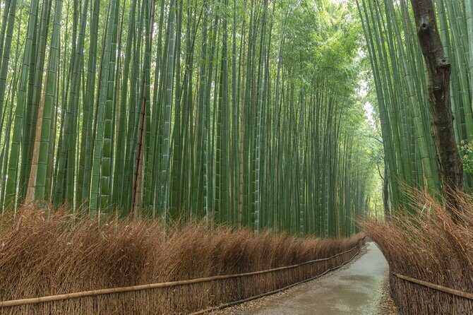 Kyoto Highlights Private Walking Tour - FAQs