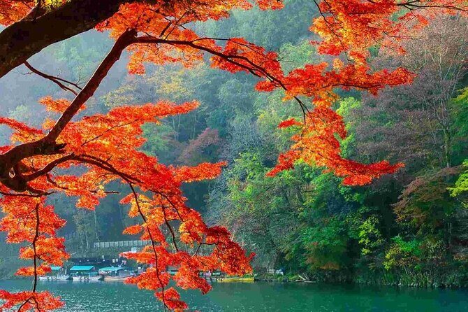 Kyoto Highlights Tour: Arashiyama, Nara Park and Fushimi Inari - An In-Depth Look at the Itinerary