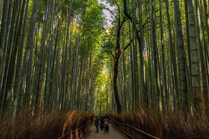 kyoto-highlights-with-nijo-castle-ticket-bamboo-forest-2