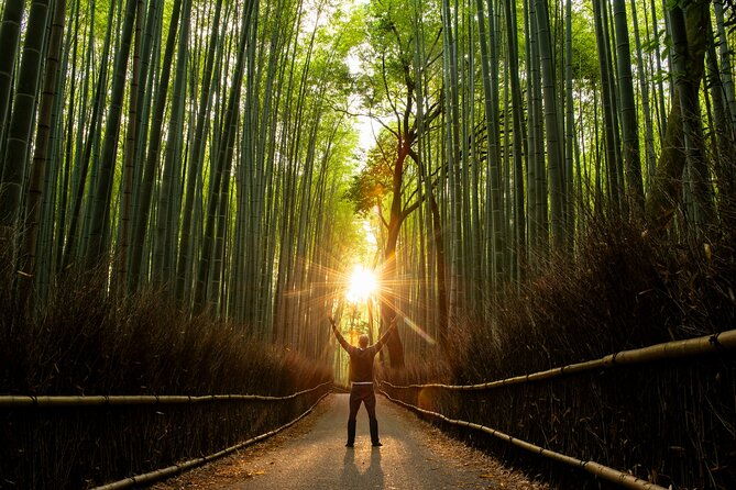 kyoto-highlights-with-nijo-castle-ticket-bamboo-forest-2