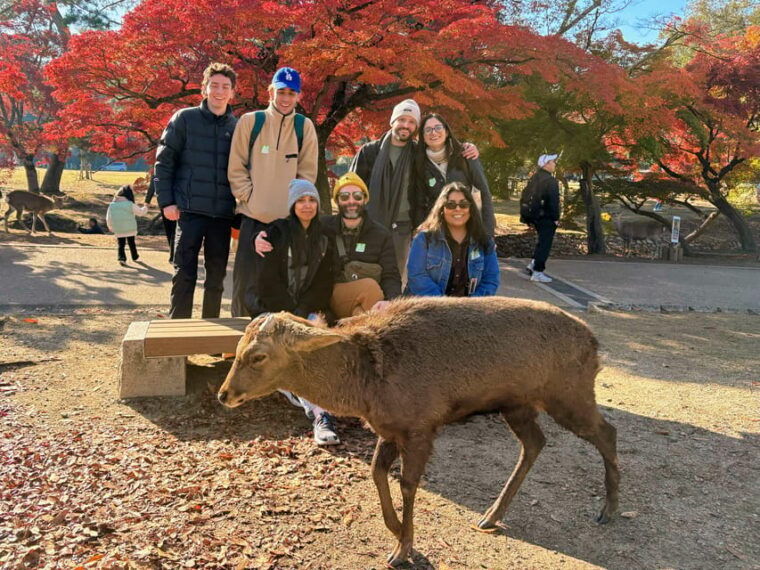 kyoto-historical-nara-kyoto-bus-tour