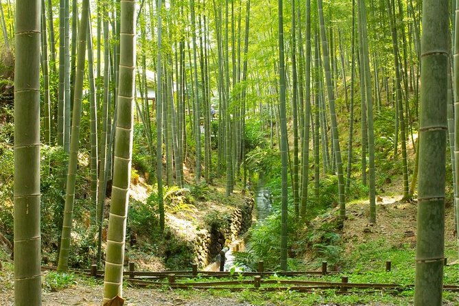 kyoto-immersive-arashiyama-and-fushimi-inari-by-private-vehicle