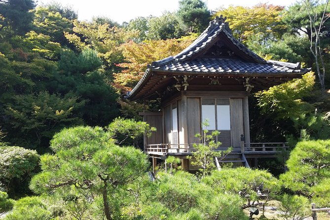 kyoto-immersive-arashiyama-and-fushimi-inari-by-private-vehicle
