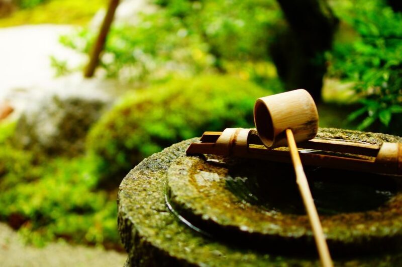 Kyoto: Immersive Arashiyama & Fushimi Inari by Private Car - Who Should Consider This Tour