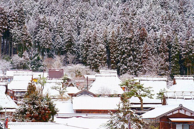 kyoto-ine-bay-amanohashidate-and-miyama-village-tour-from-osaka