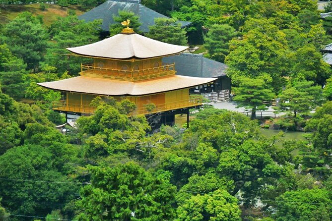 kyoto-italian-guide-golden-pagoda-bamboo-forest-dry-garden