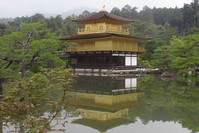 kyoto-italian-guide-golden-pagoda-bamboo-forest-dry-garden