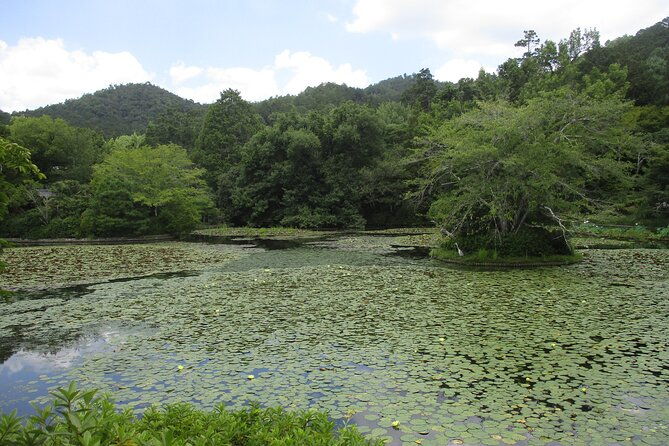 kyoto-italian-guide-golden-pagoda-bamboo-forest-dry-garden