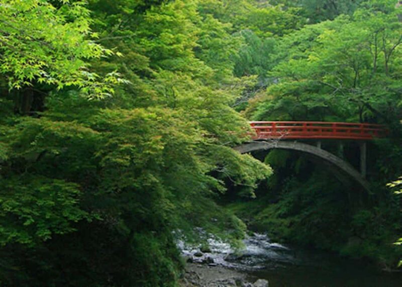 Kyoto: Jingoji and Kozanji Temple Private Day Trip - Why Choose This Tour?