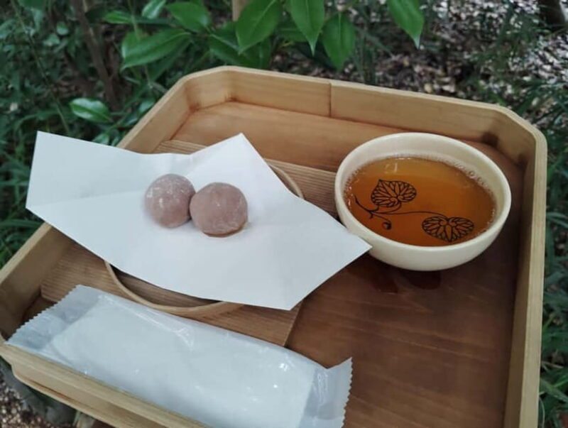 Kyoto: Kamigamo and Shimogamo Shrines Guided Tour 3h - Key Points